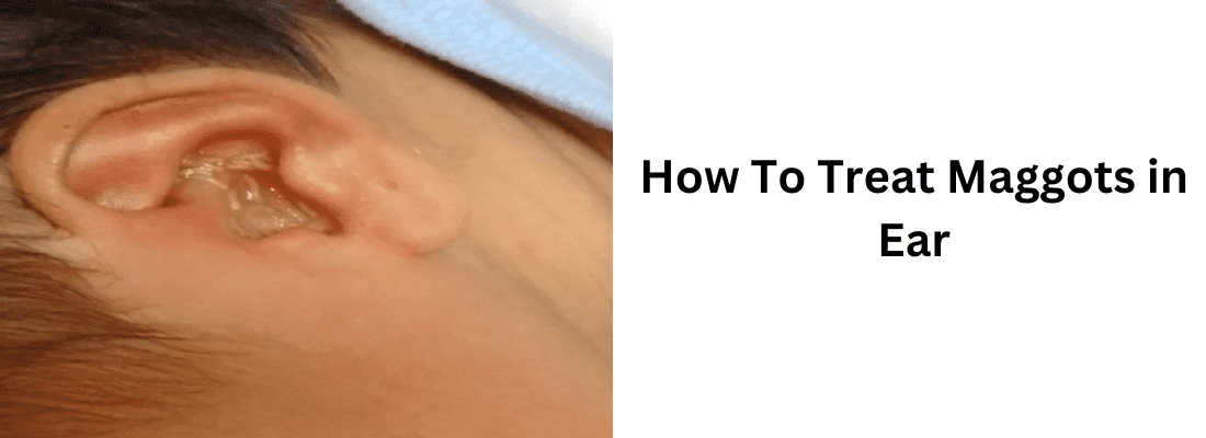 How To Treat Maggots in Ear
